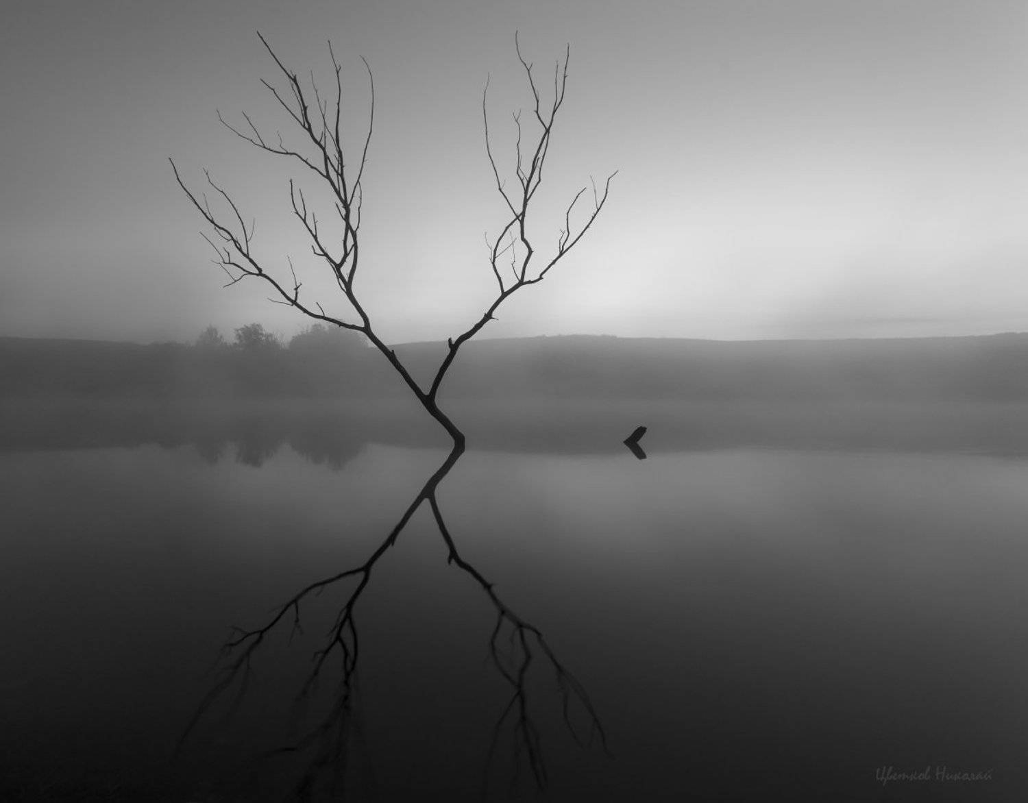 , Николай Цветков