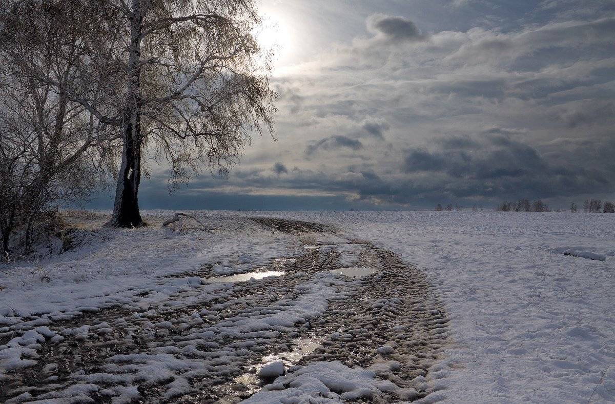 , Николай Морский