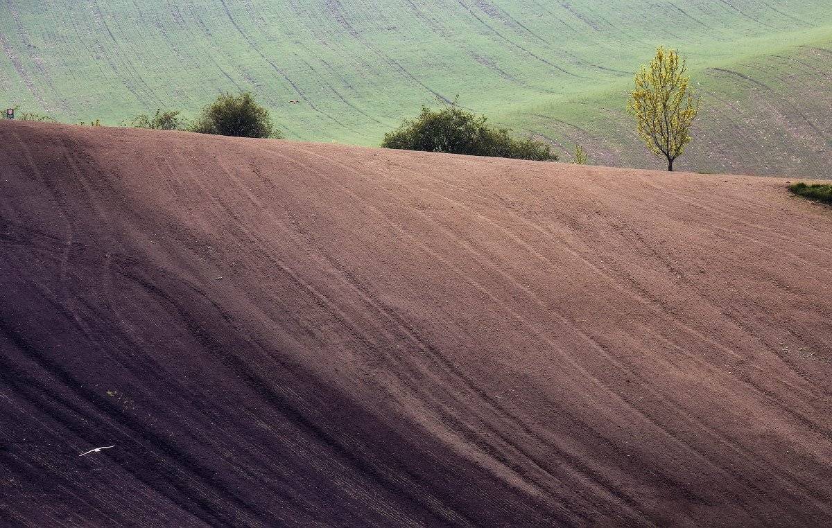 Апрель, Весна, Европа, Моравия, Чехия, Вейзе Максим
