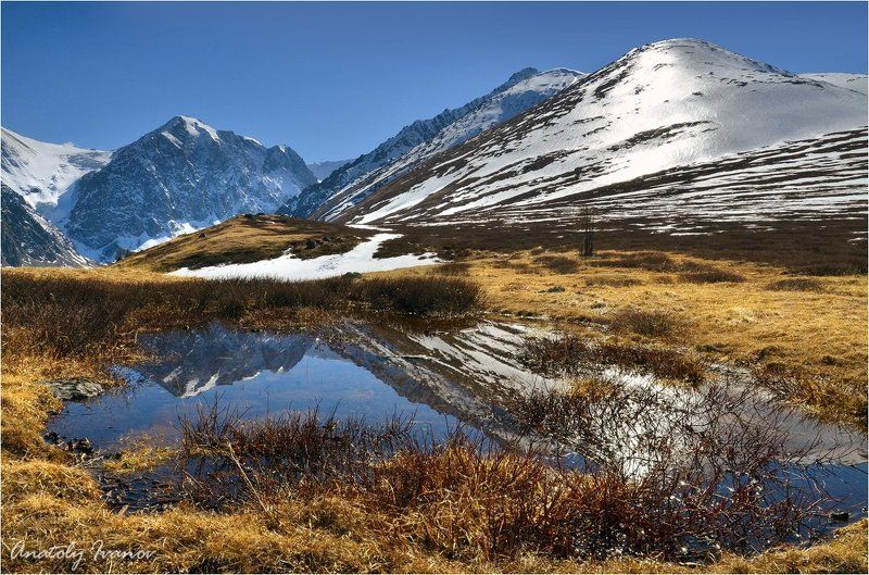 Актру, Горный алтай, Караташ *** фото превью