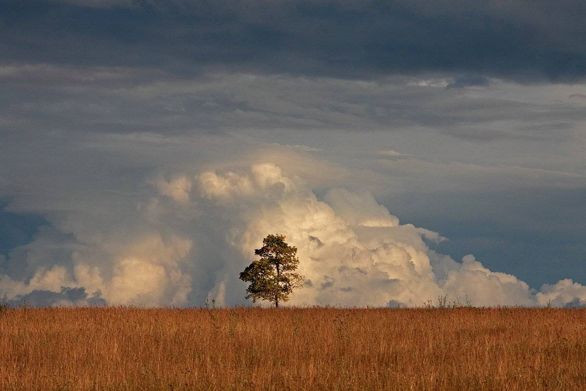 , Шангареев Марс