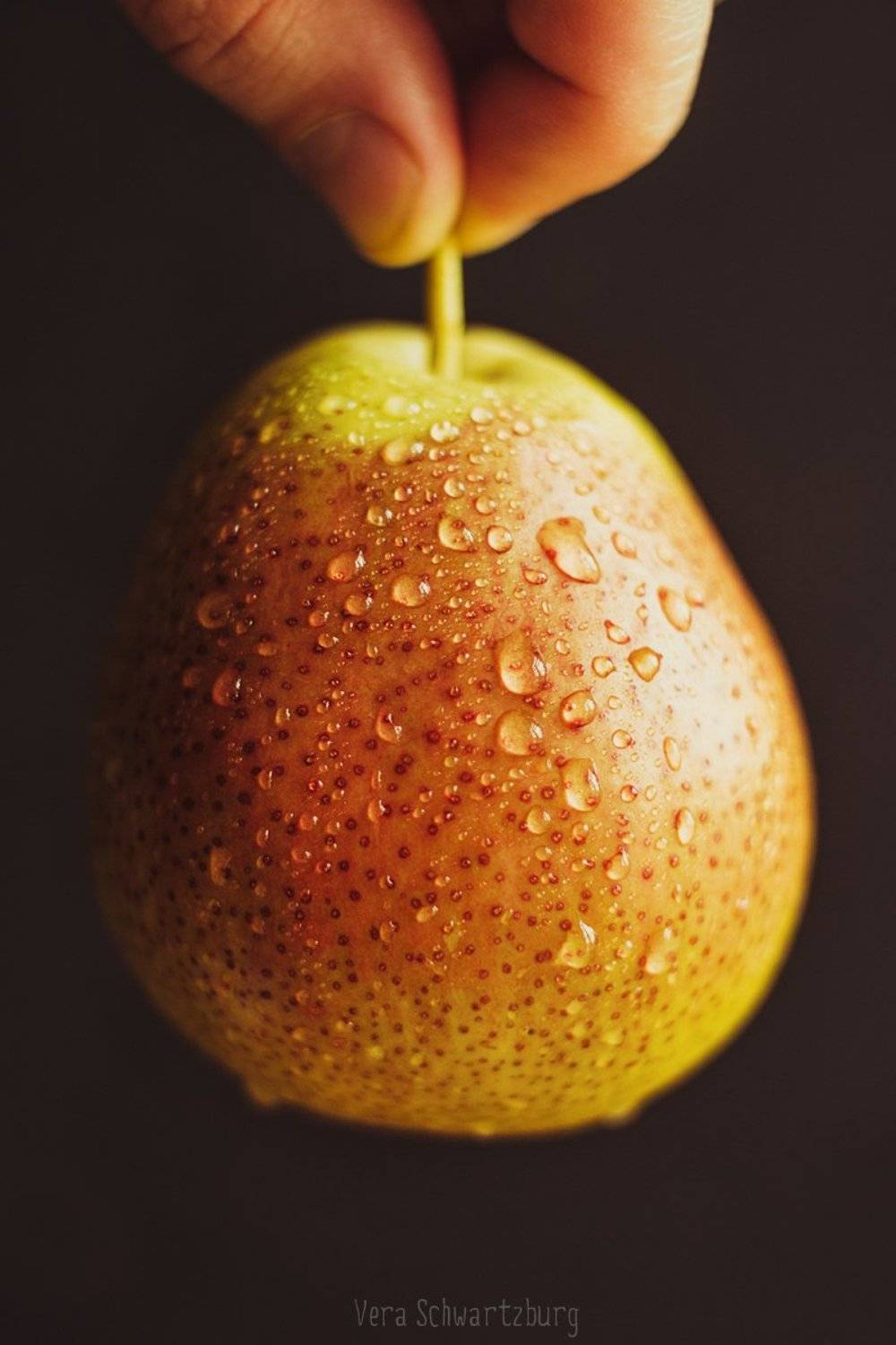 , Шварцбург Верочка