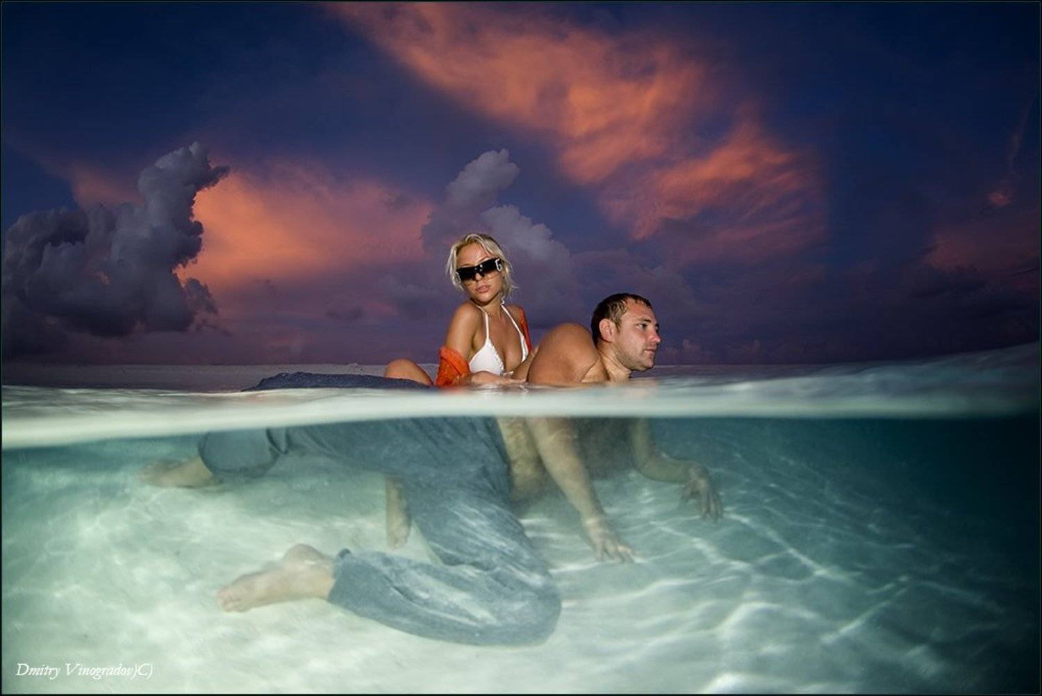 , Дмитрий Виноградов