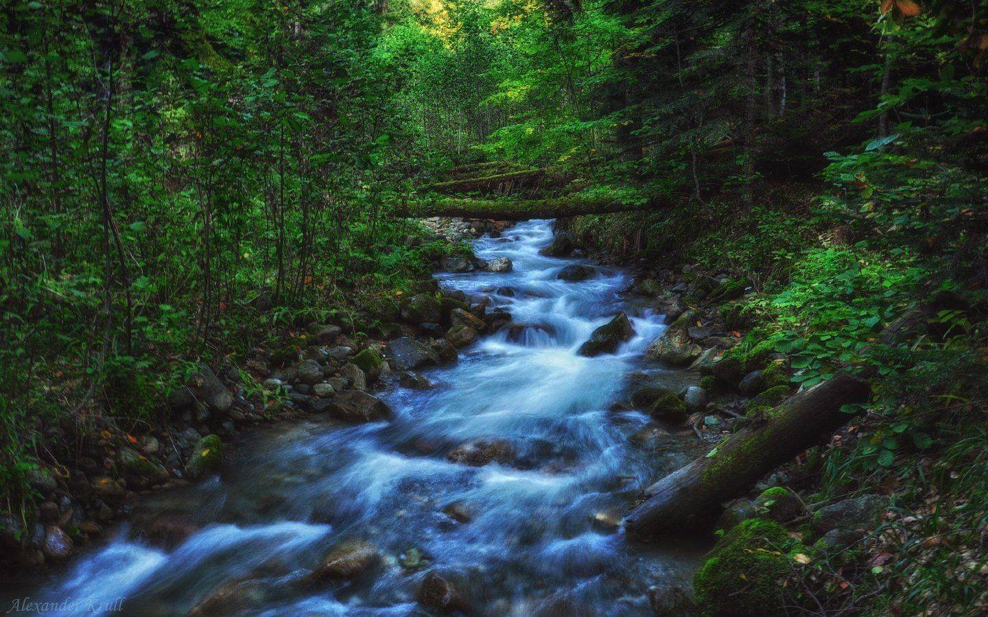 кавказ, кчр, Александр Круль