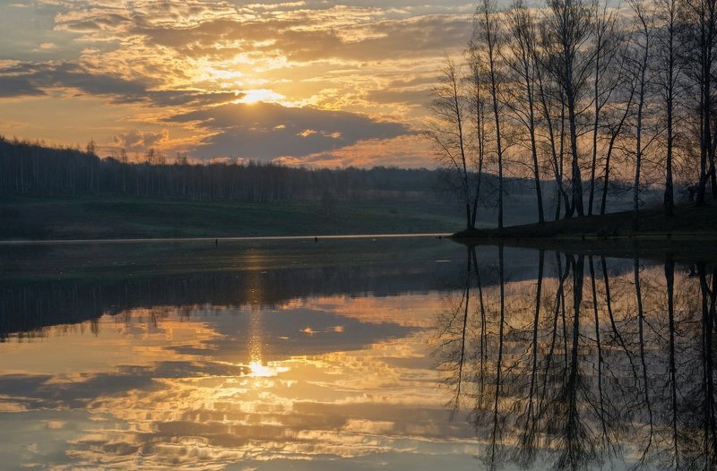 Золотое утро фото превью