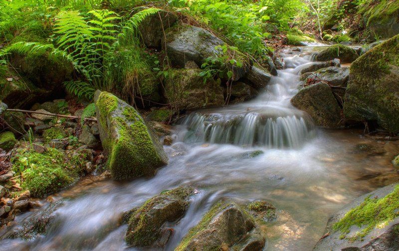 river river фото превью