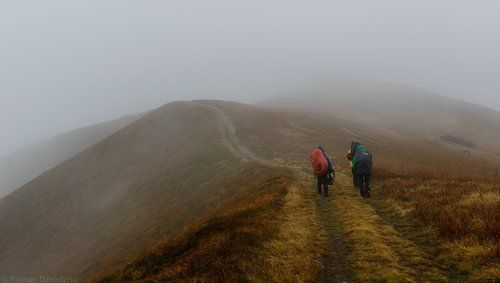 Туманный путь