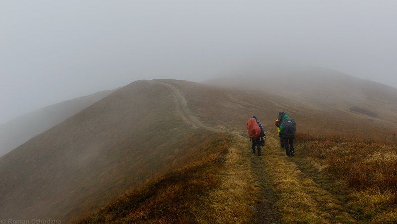 Туман, ветер, моросит, горы, Карпаты, Водораздел Туманный путь фото превью