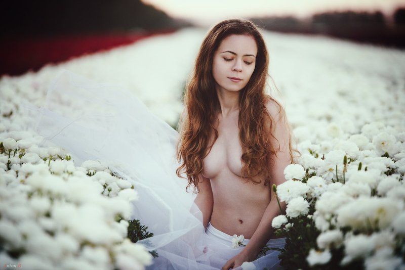 *** фото превью