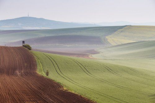 Утро в Моравии