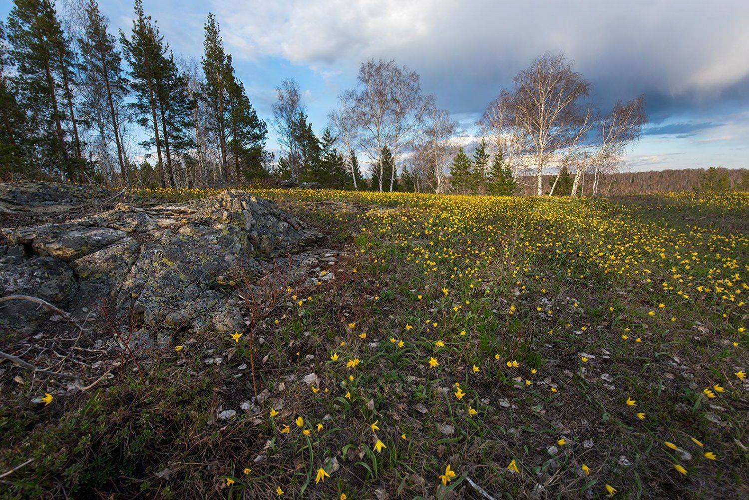 , Орлов Михаил