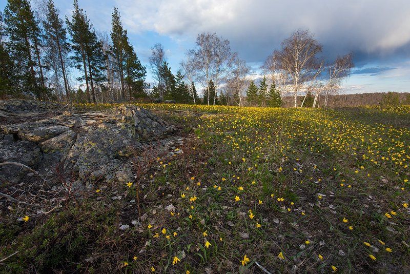 Весенние краски фото превью