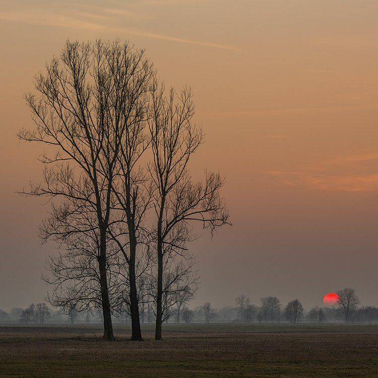 , Pawel Plucinski