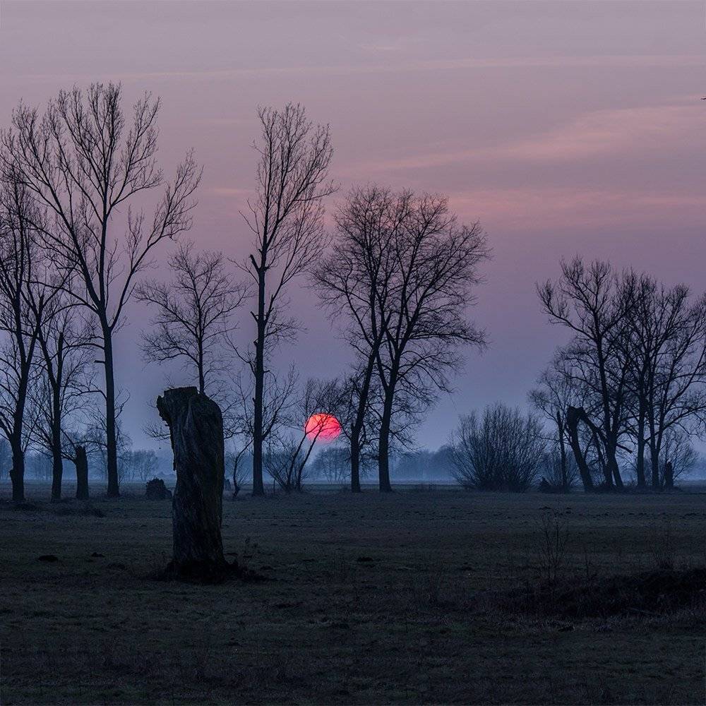 , Pawel Plucinski