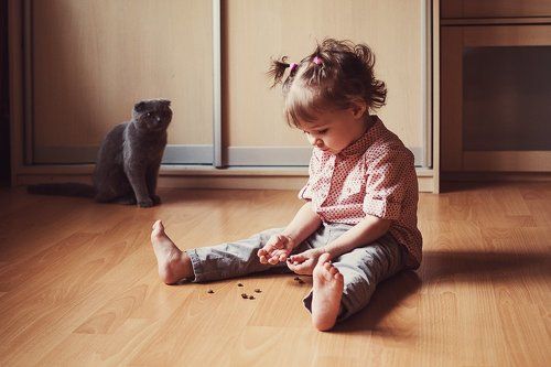 Вместе с любимой кошкой