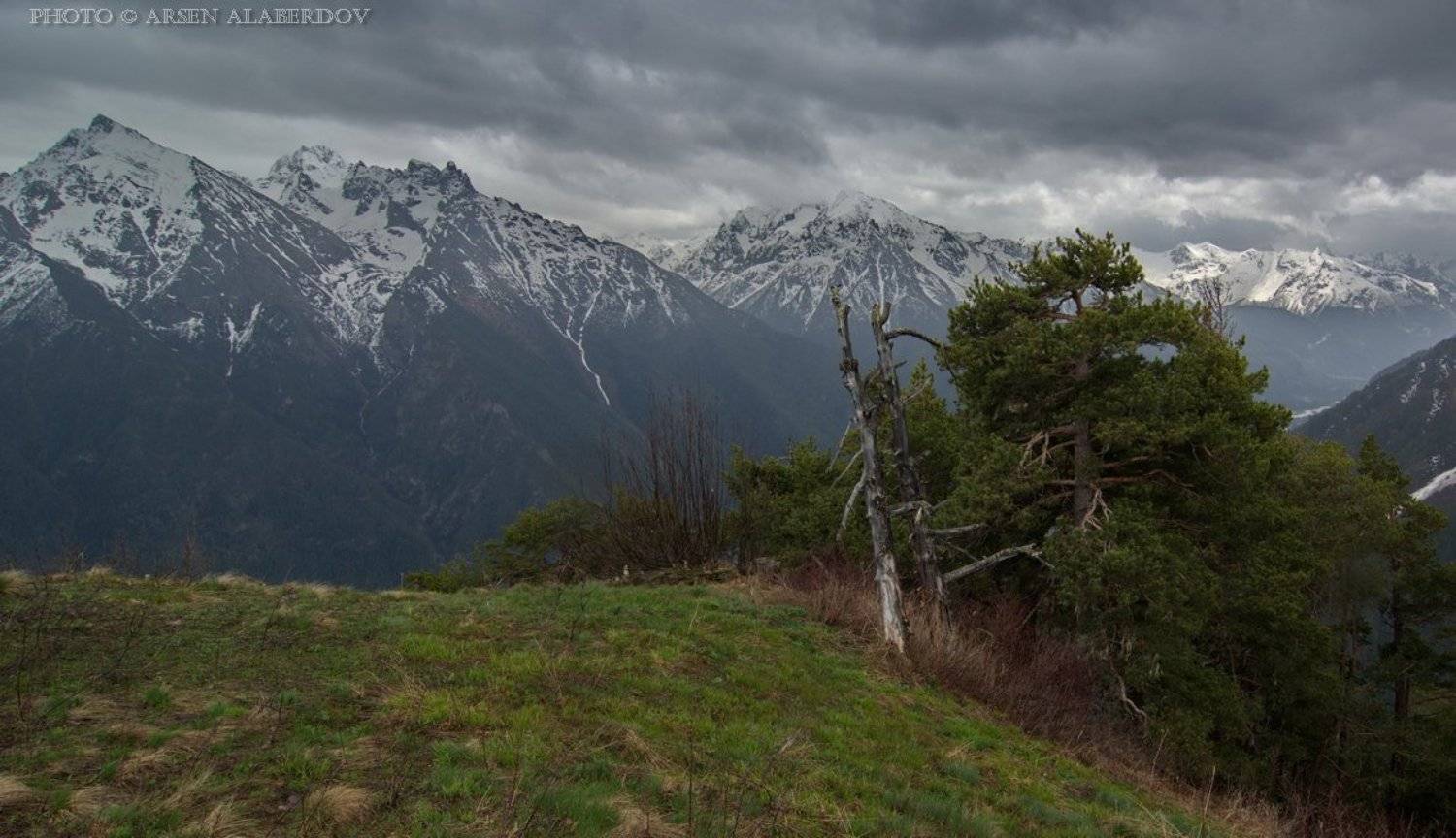 Буря, Вершины, Горы, Деревья, Дождь, Кавказ, Карачаево-Черкесия, Лес, Непогода, Северный Кавказ, Теберда, Тебердинский заповедник, Тучи, Шторм, Арсен Алабердов
