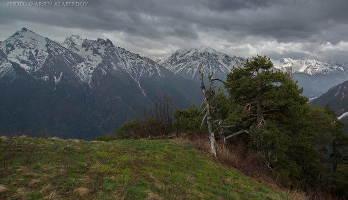 ПЕРЕД ПЕРВЫМИ КАПЛЯМИ