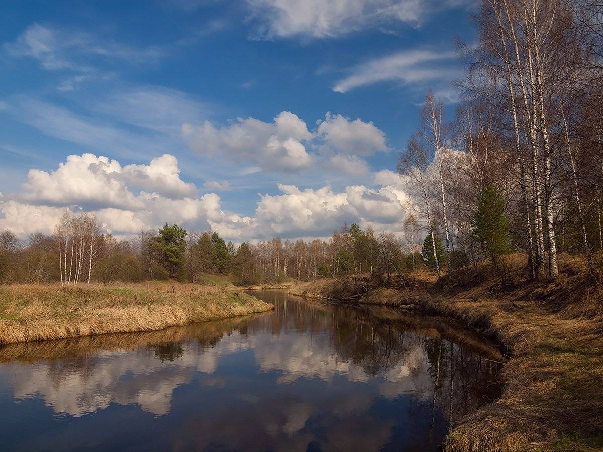 , Владимир Перепечаев