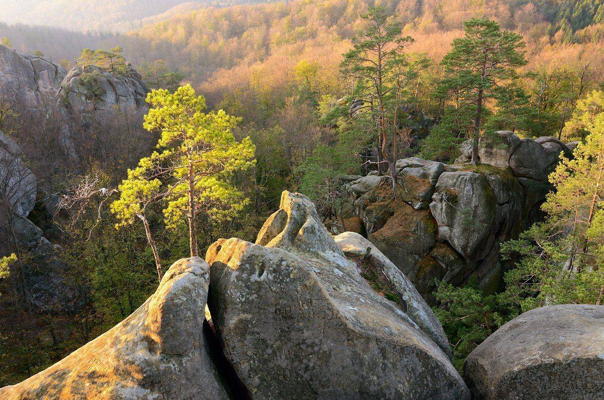Autumn, Karpaty, Landscape, Mountains, Pine, Rocks, Sunrise, Trees, Ukraine, Восход, Горы, Деревья, Карпаты, Осень, Пейзаж, Скалы, Сосны, Украина, Я