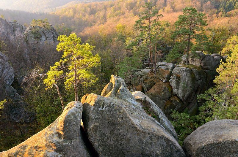 Autumn, Karpaty, Landscape, Mountains, Pine, Rocks, Sunrise, Trees, Ukraine, Восход, Горы, Деревья, Карпаты, Осень, Пейзаж, Скалы, Сосны, Украина  фото превью