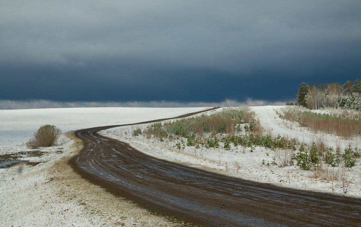 , Николай Морский