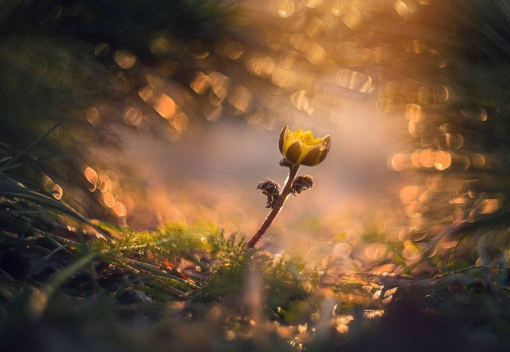 , Екатерина Науменко