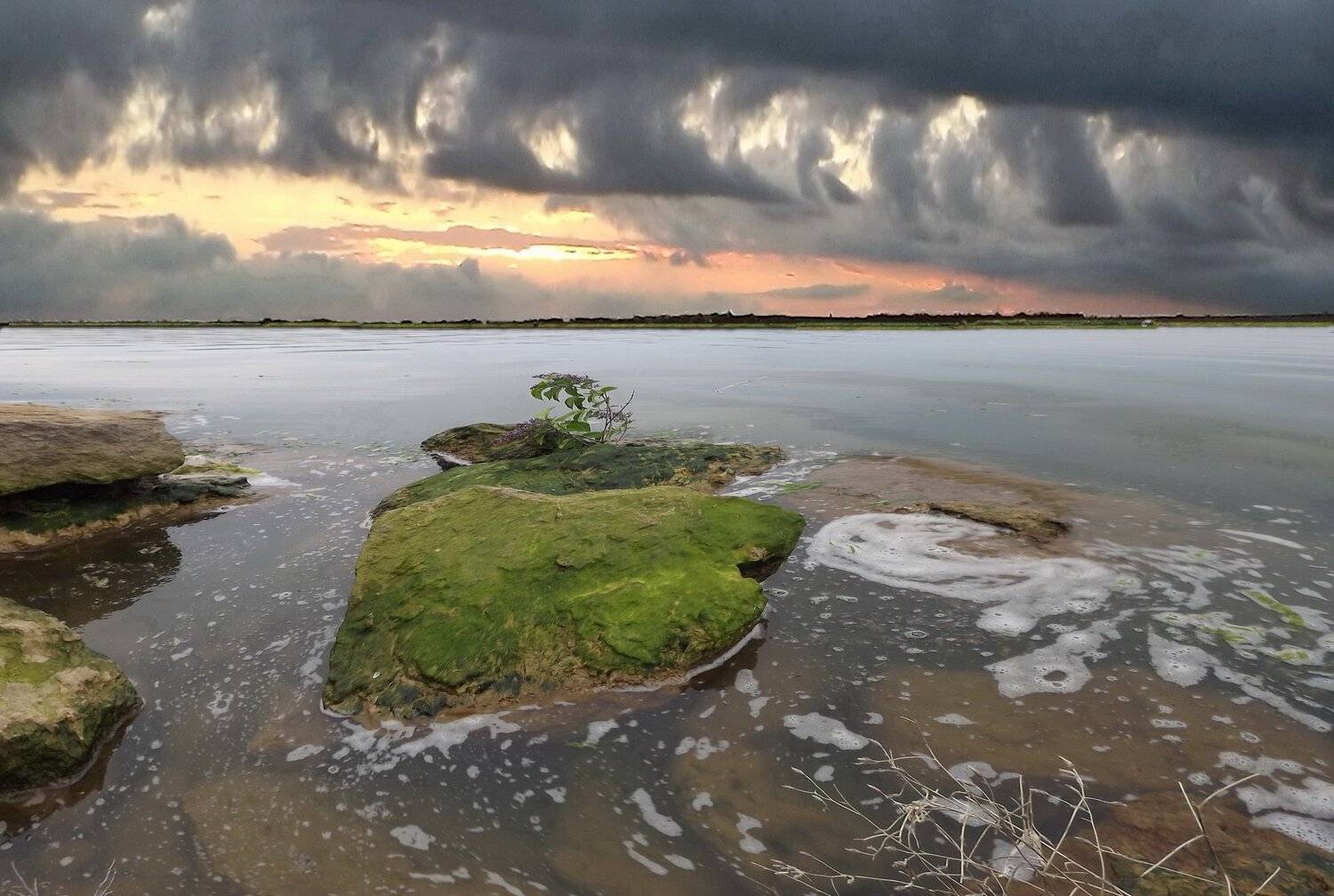 одесса, Сергей Кошелев