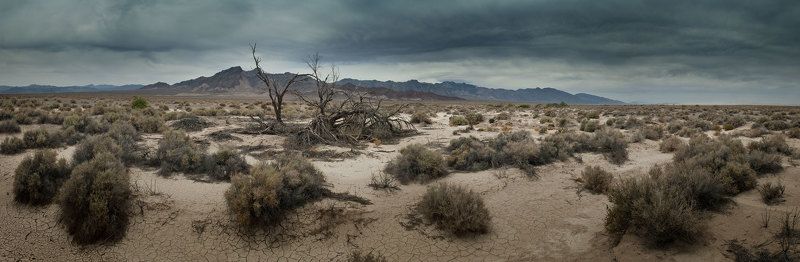 Первые 10 снимков на сайте фото превью