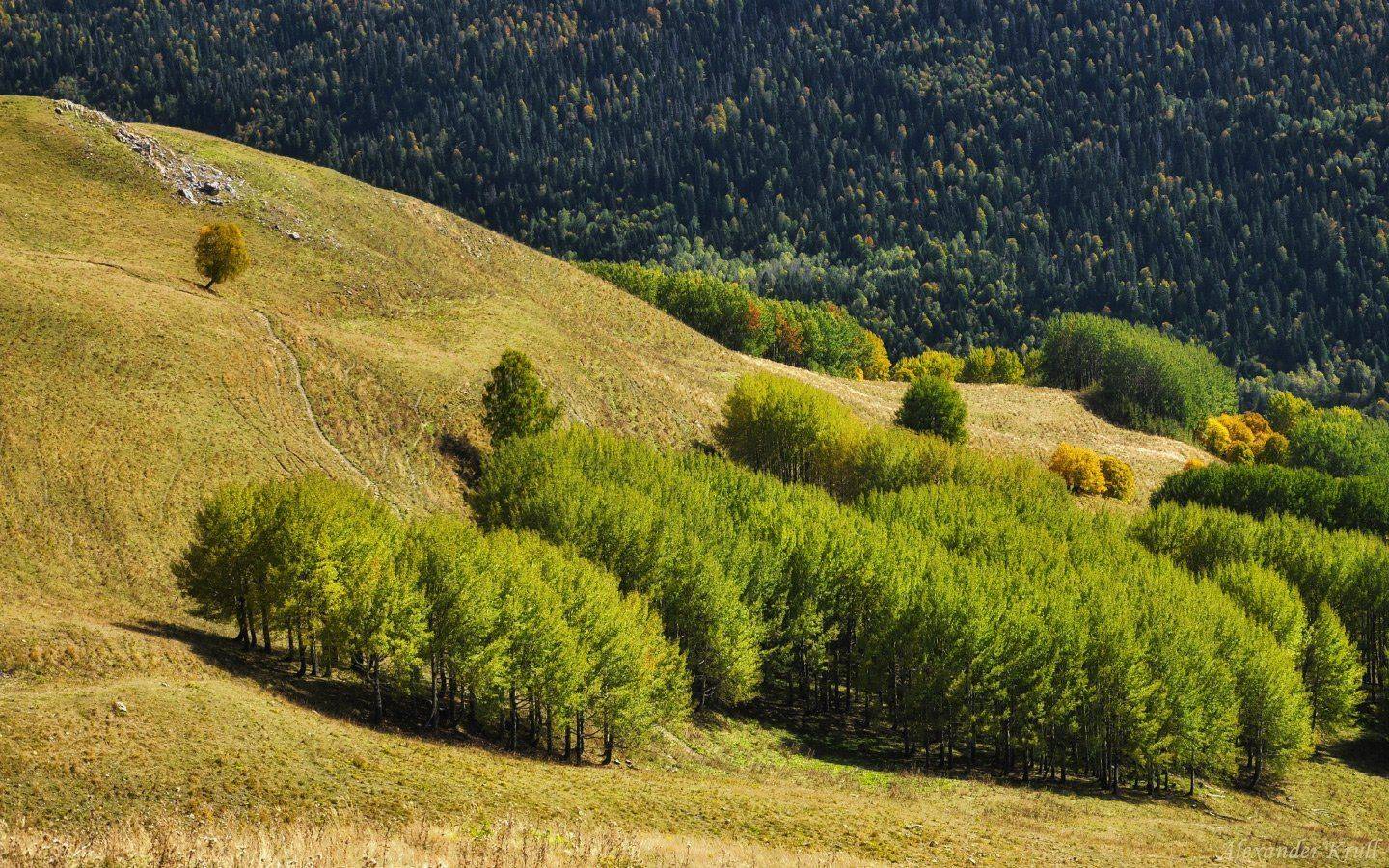 Кавказ, Кчр, Александр Круль