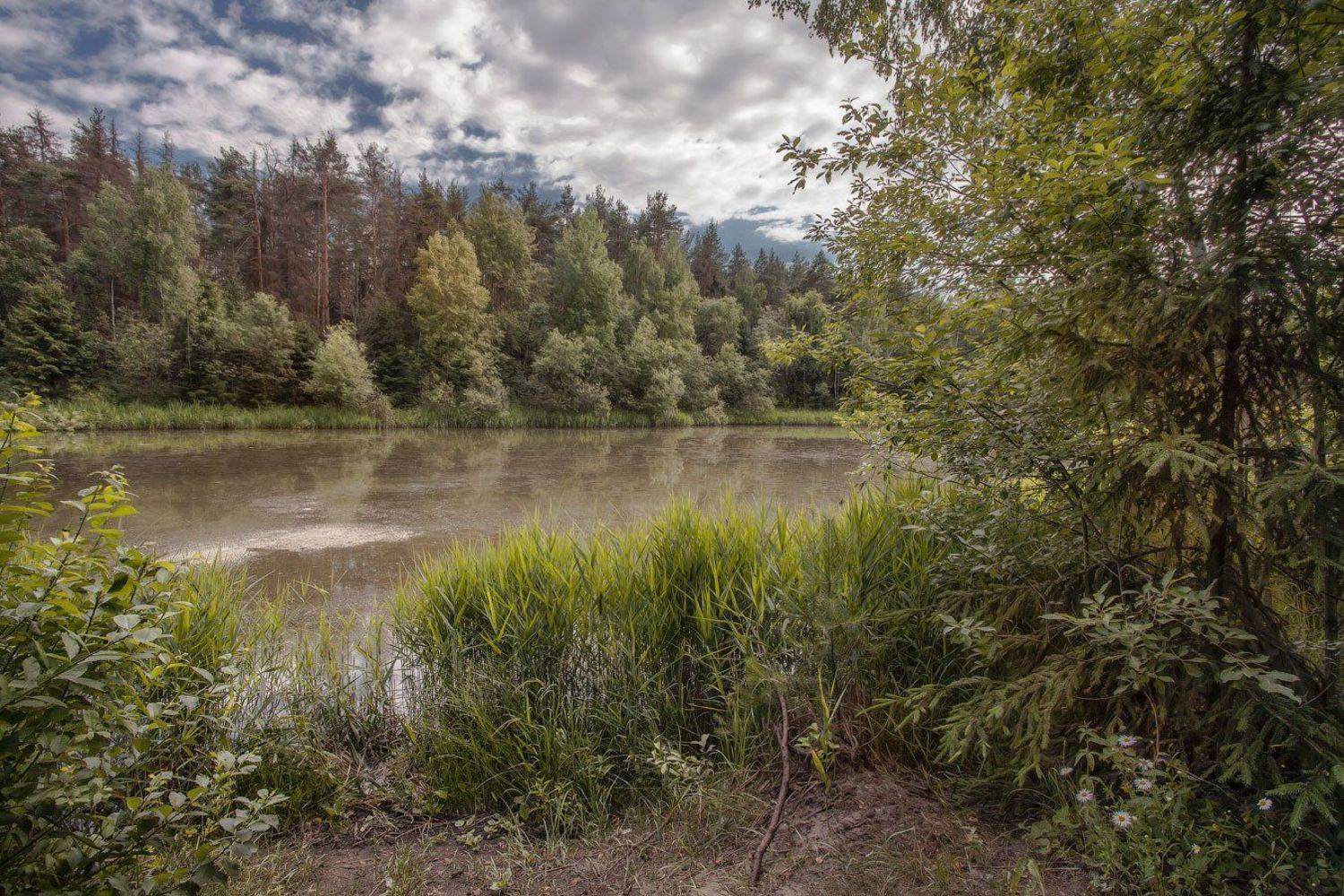 Купавна, озёра, июнь, Андрей Леонидович