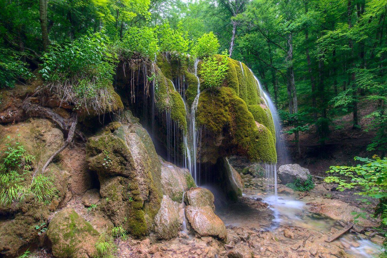 , Сергей Брагин