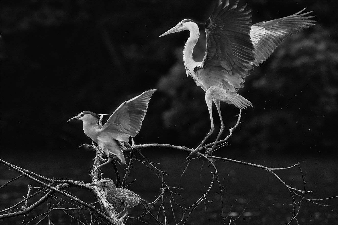 Secret Reunion, KIM SUK EUN