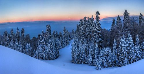 Снежная заря.