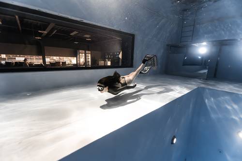 Freediver