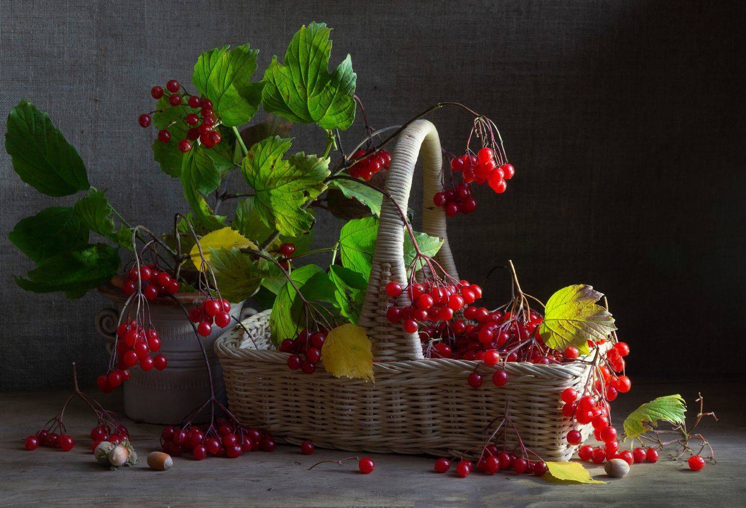 калина, осень, натюрморт, Колеснева Елена