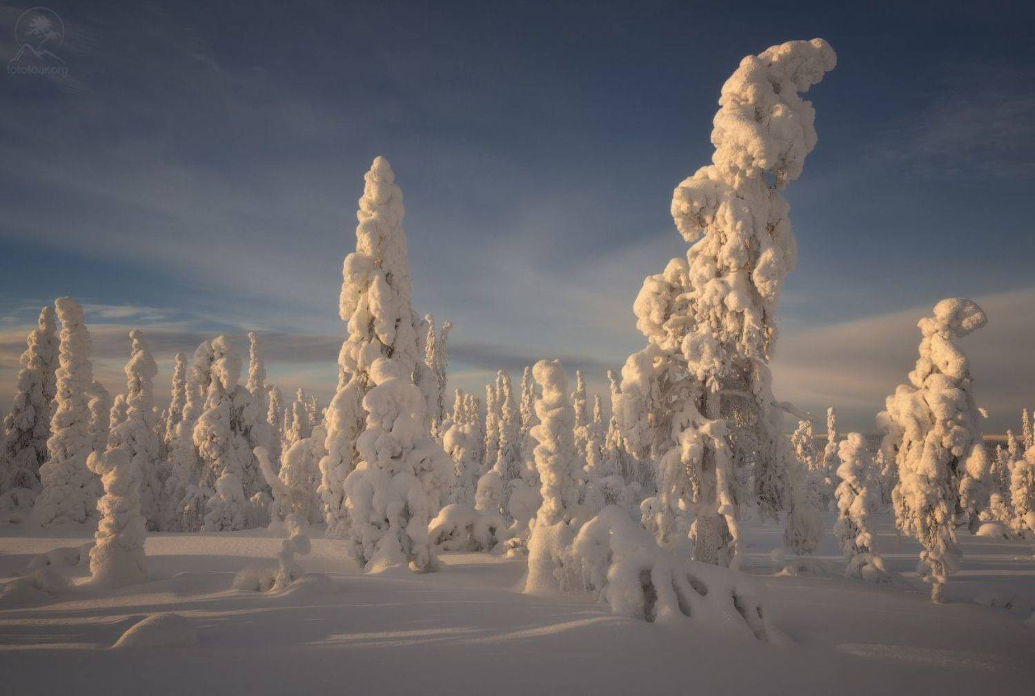 паанаярви, Anatoly Gordienko