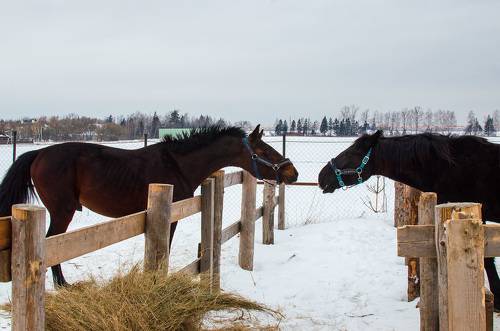 По секрету всему свету