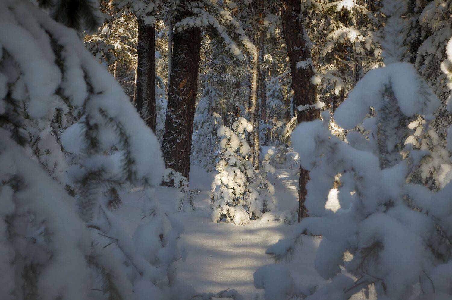 , Евгений Зинов