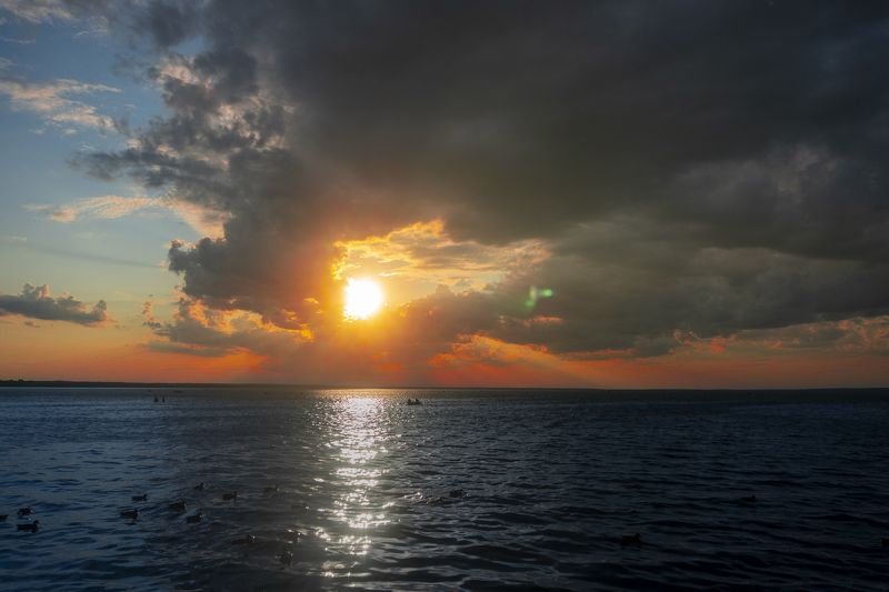 312 фото превью