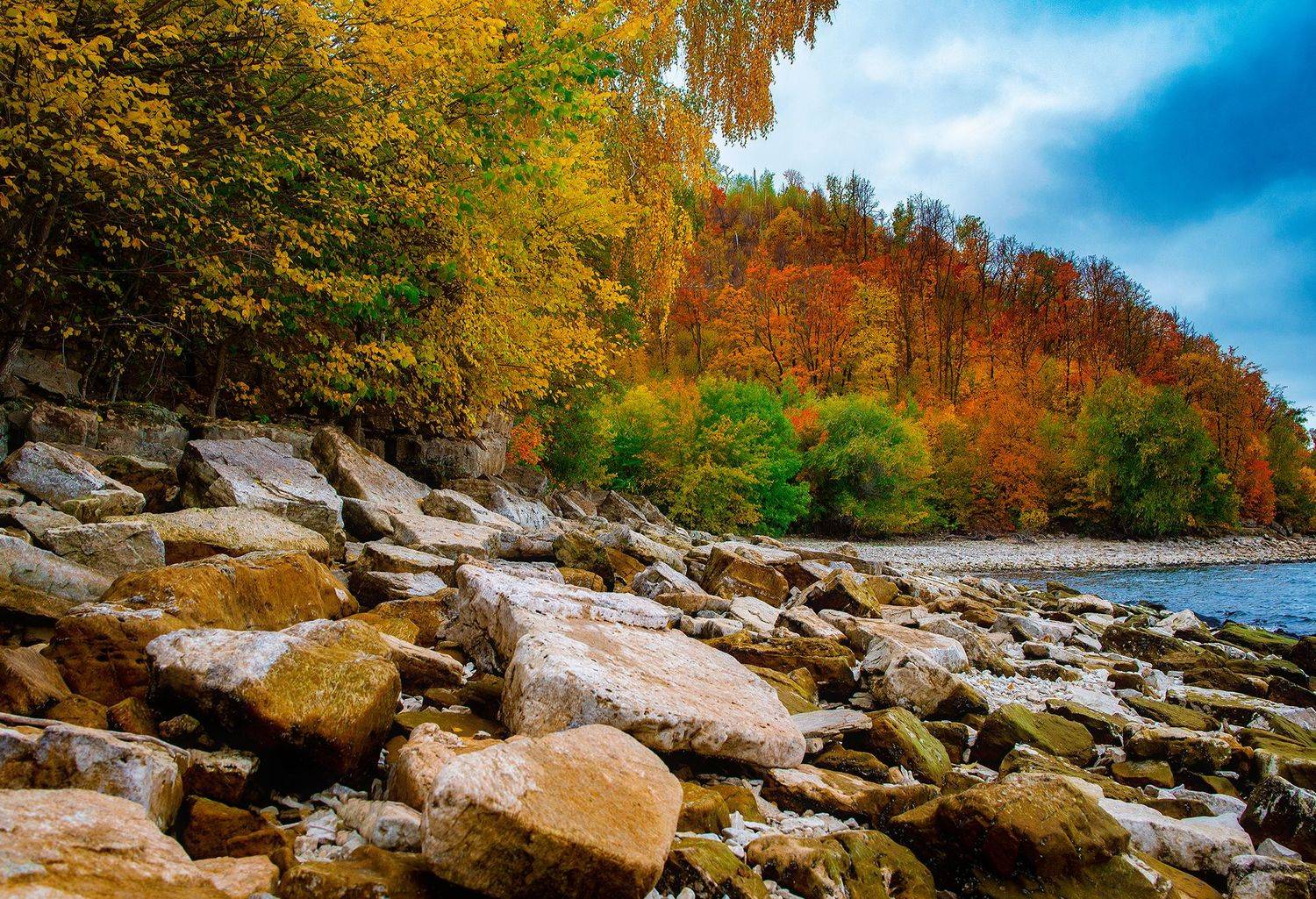 , Дзюба Нелли