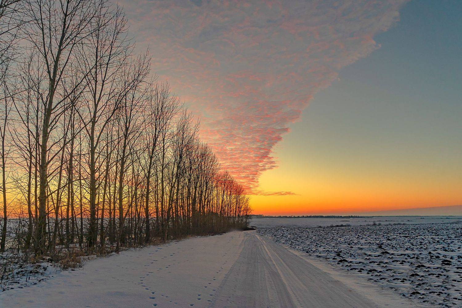 зима, февраль,вечерняя заря,, Николай Бологов