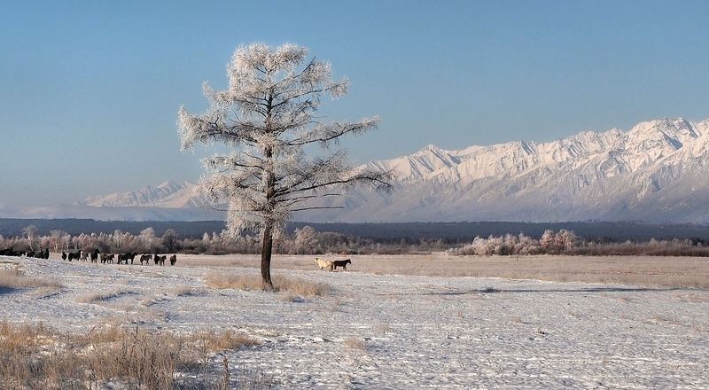 На просторах Тункинской долины фото превью