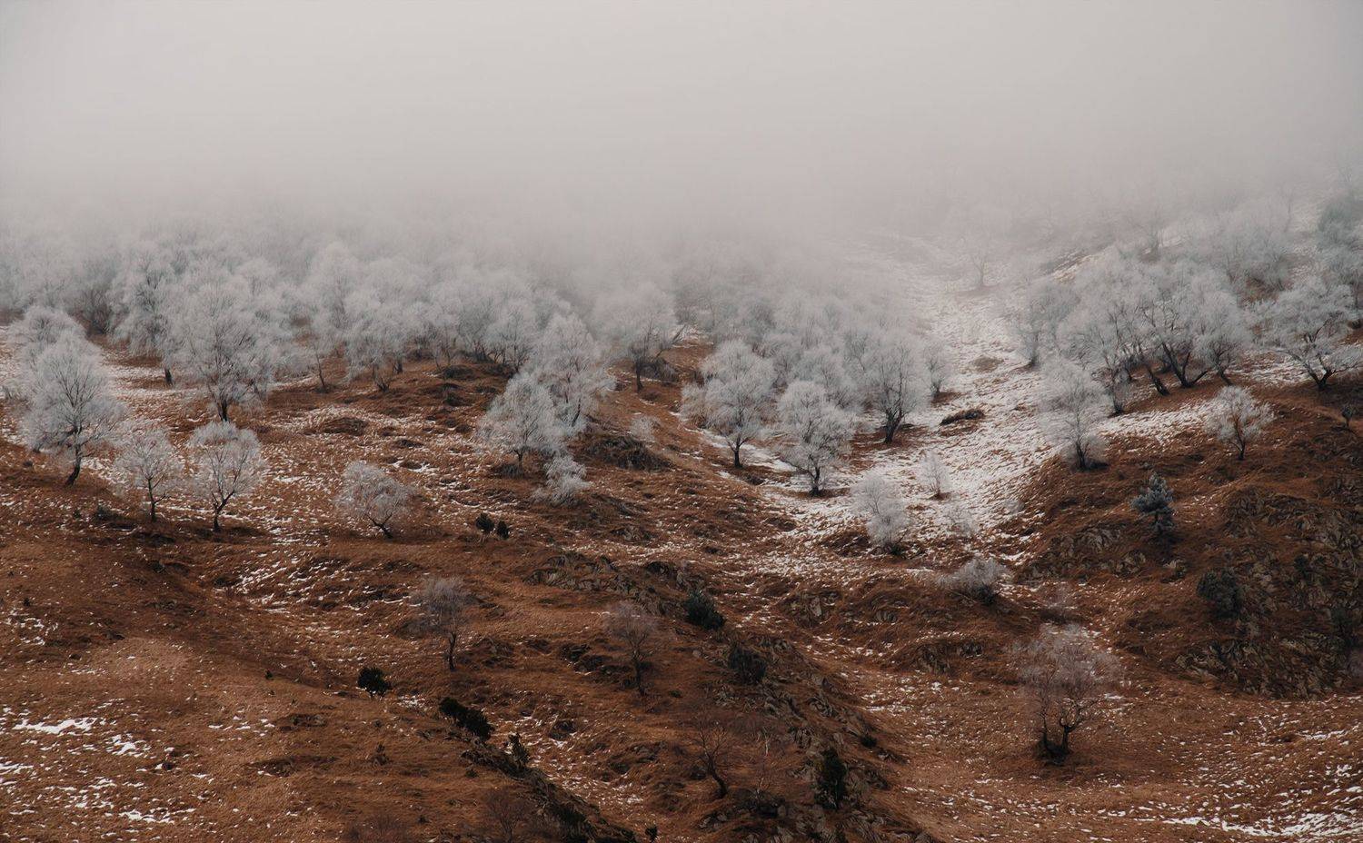 горы, снег, мороз, облака, Кавказ, Эльбрус, Яковлева Людмила