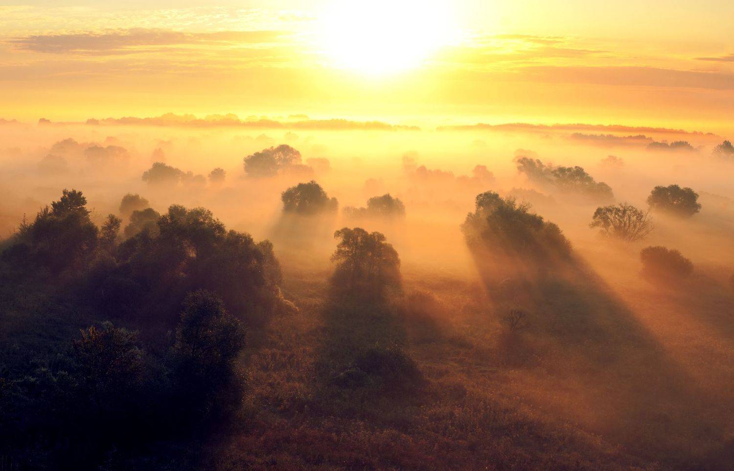 рассвет, большой мечек, липецкая область, Рукин Иван