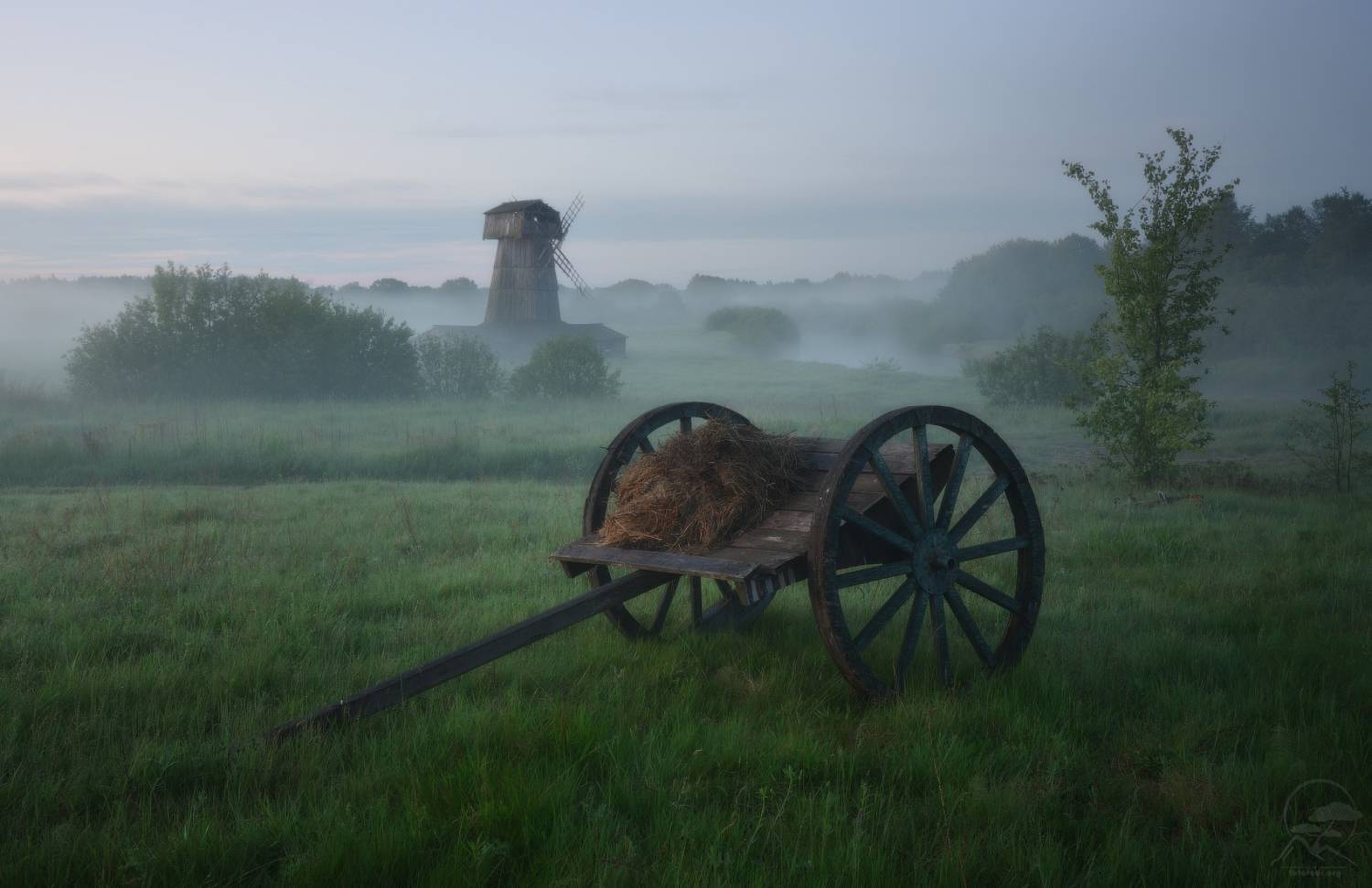 кинодеревня, псковская область, фототуры выходного дня, фототур в псков, Anatoly Gordienko
