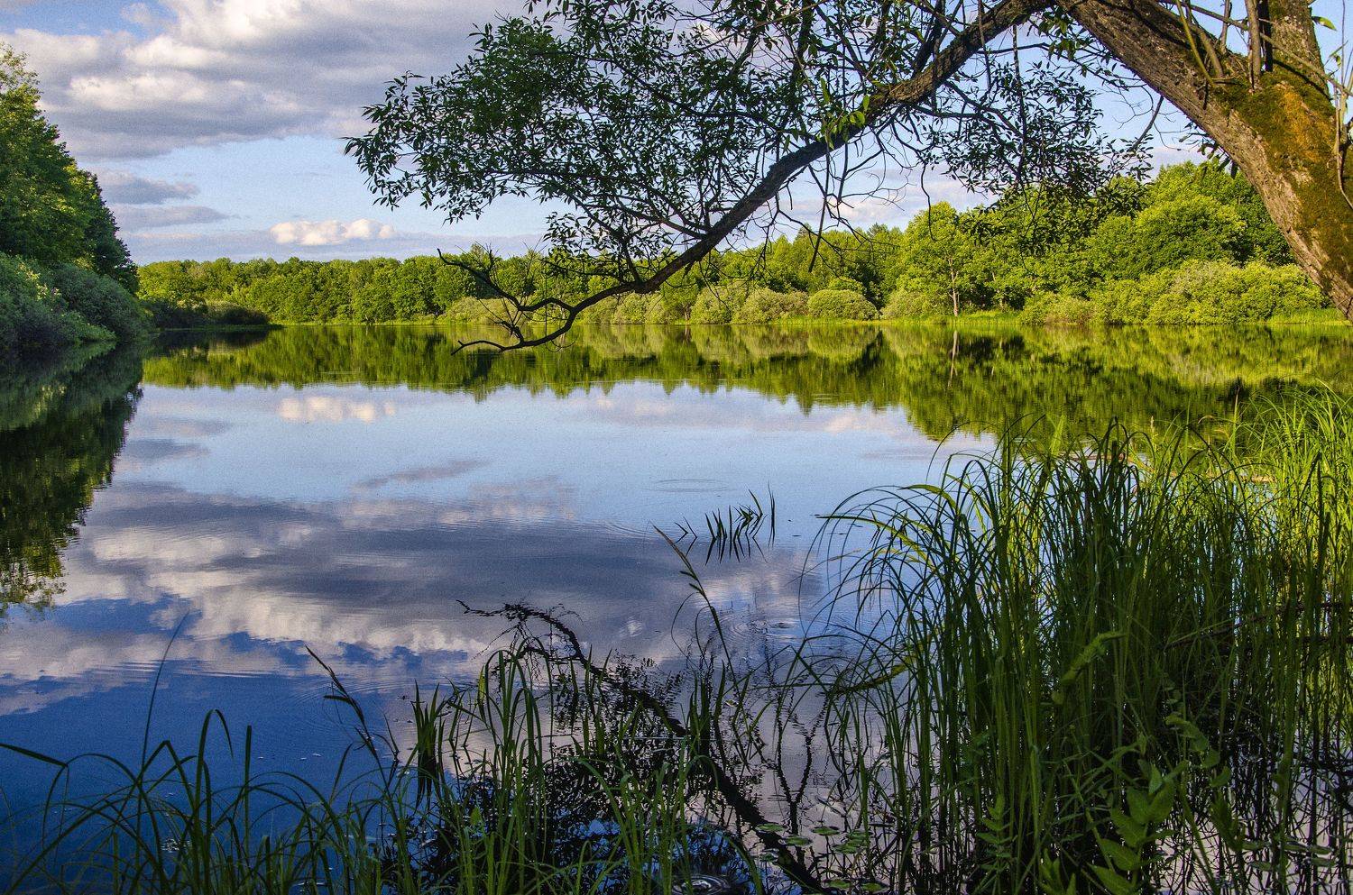 , Александр Березуцкий