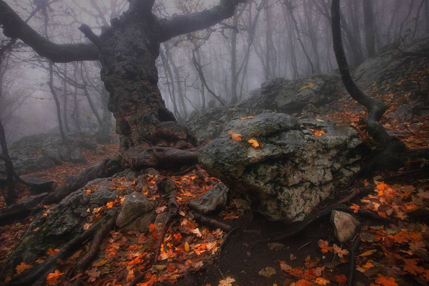 , Костенко Александр