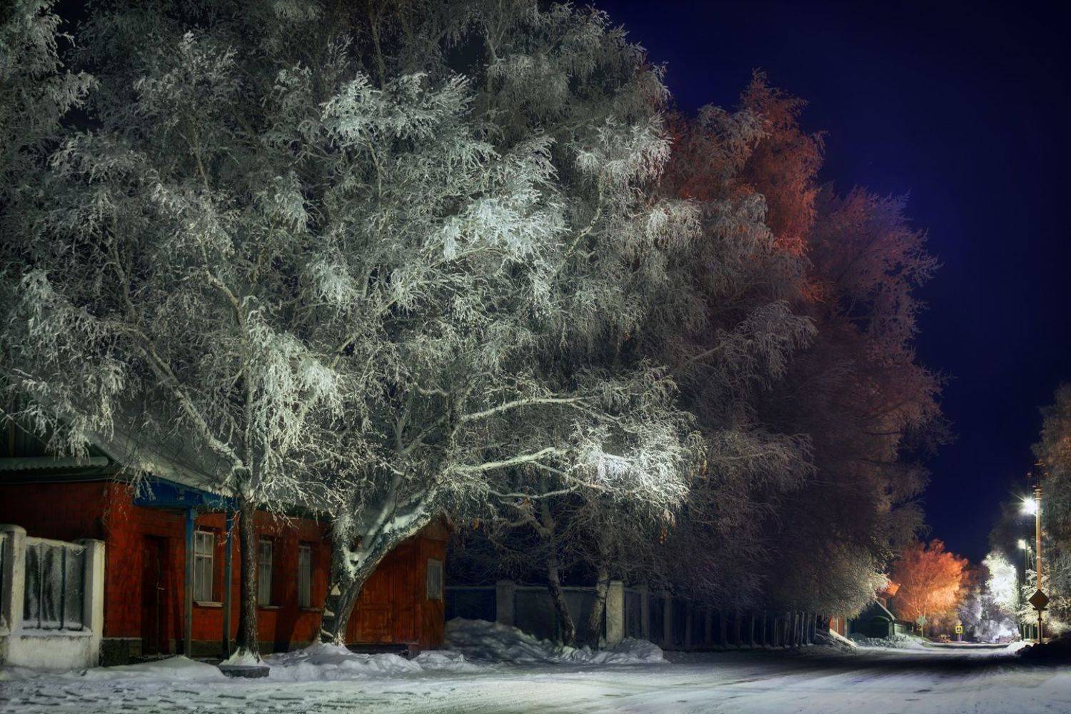 зима, вечер, иней, Алёна Сурнина