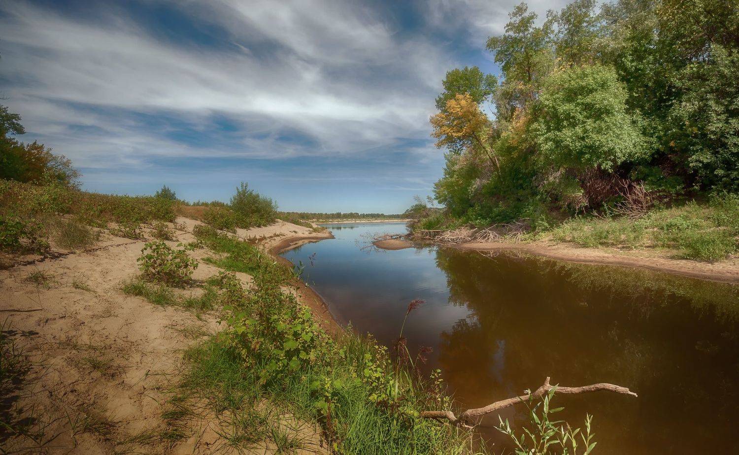 речка, песок, верблюжья колючка, Сергей Аникин