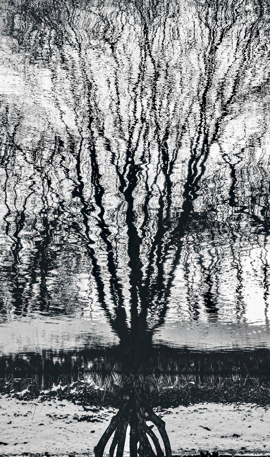 , Karina Aleksandrova